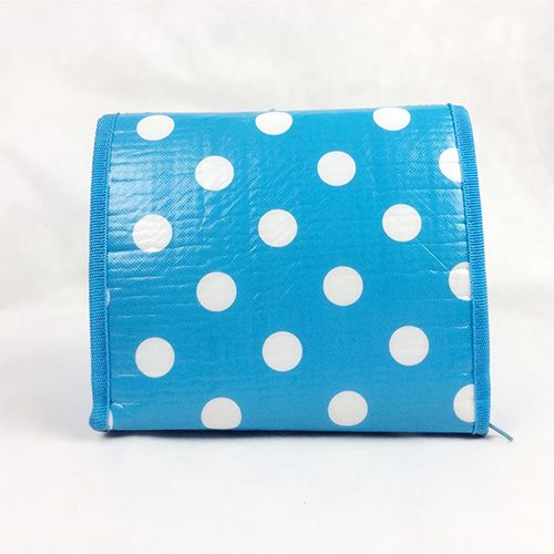 School Cooler lunch Bag