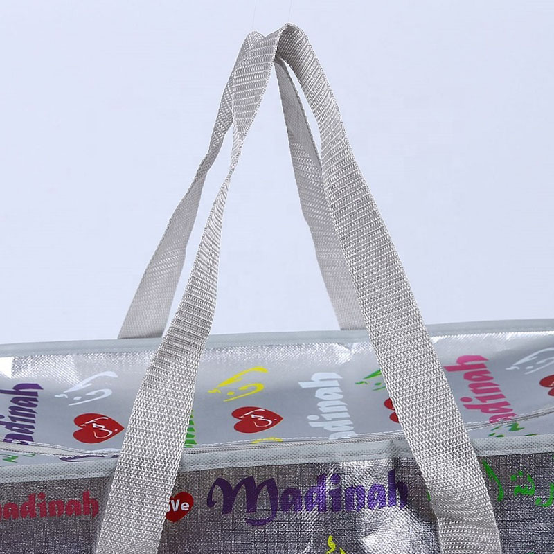 PP Woven Luggage Zipper Bag