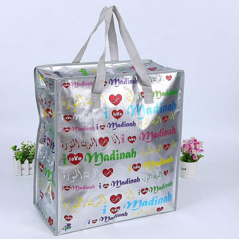 PP Woven Luggage Zipper Bag