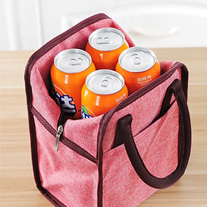 Outside Picnic Cooler Lunch Bag